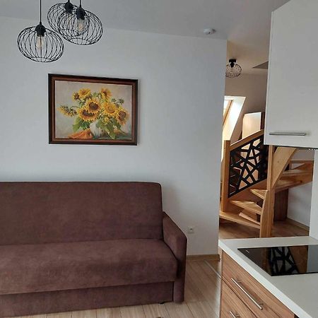 Apartamenty Cede ザコパネ エクステリア 写真