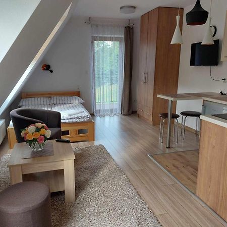 Apartamenty Cede ザコパネ エクステリア 写真