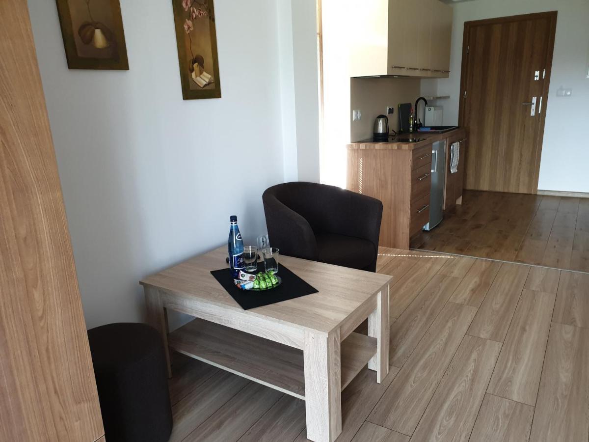 Apartamenty Cede ザコパネ エクステリア 写真