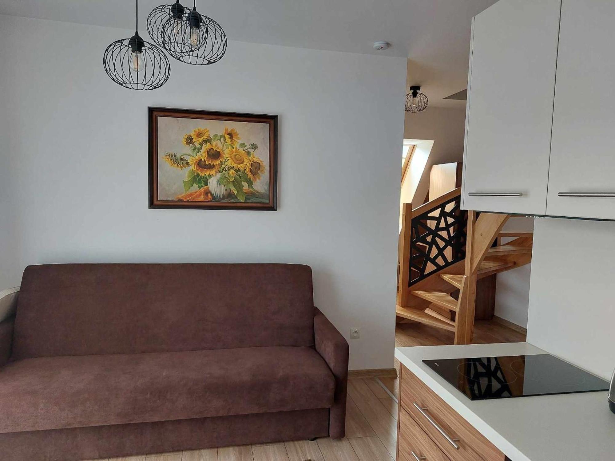 Apartamenty Cede ザコパネ エクステリア 写真