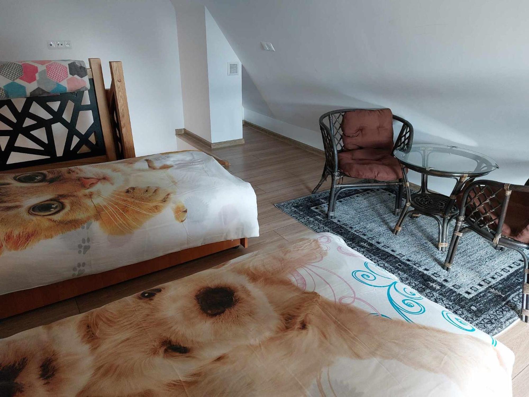 Apartamenty Cede ザコパネ エクステリア 写真